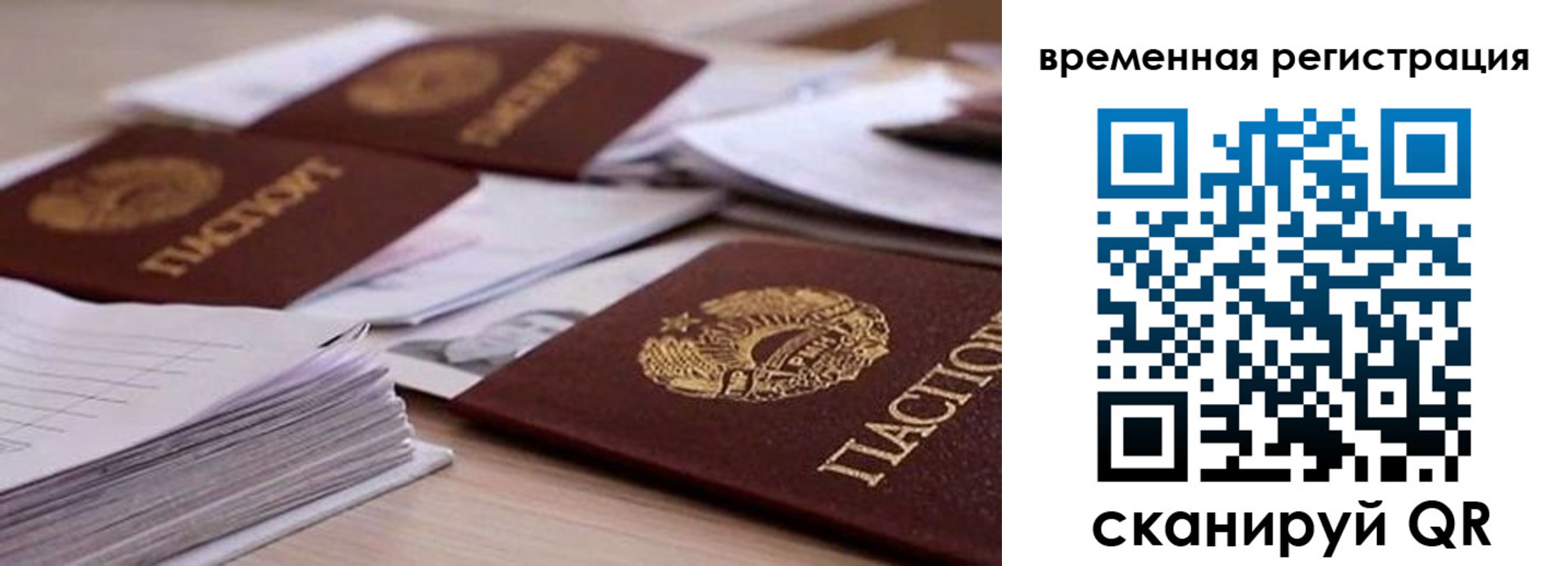 временная регистрация поиск в Заинске